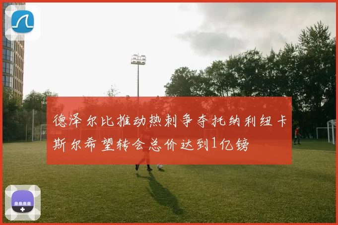 德泽尔比推动热刺争夺托纳利纽卡斯尔希望转会总价达到1亿镑